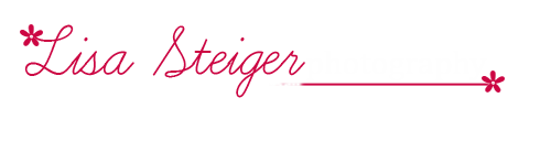 headerlogo